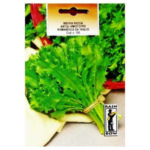 ΑΝΤΙΔΙ ΗΜΙΣΓΟΥΡΟ