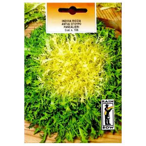 ΑΝΤΙΔΙ ΣΓΟΥΡΟ