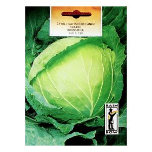 ΛΑΧΑΝΟ ΑΣΠΡΟ