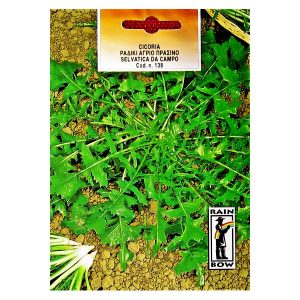 ΡΑΔΙΚΙ ΑΓΡΙΟ ΠΡΑΣΙΝΟ