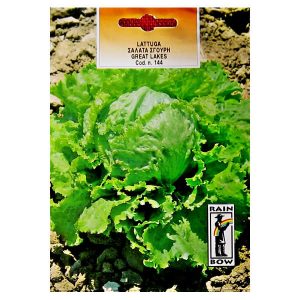 ΣΑΛΑΤΑ ICEBERG