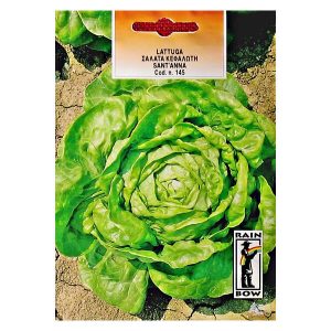 ΣΑΛΑΤΑ ΚΕΦΑΛΩΤΗ