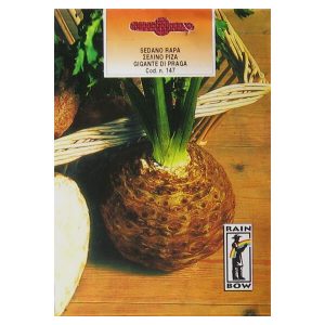 ΣΕΛΙΝΟ ΡΙΖΑ