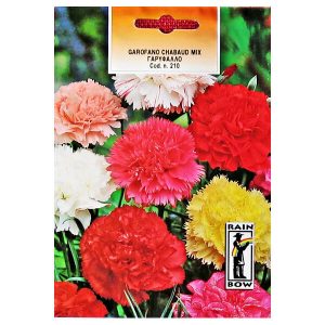 ΓΑΡΥΦΑΛΛΟ ΓΙΓΑΣ ΜΙΓΜΑ