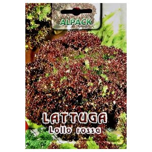 ΣΑΛΑΤΑ ΣΓΟΥΡΗ ΚΟΚΚΙΝΗ