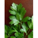 ΜΑΙΝΤΑΝΟΣ GIGANTE ITALIA sel. CAPUT κονσ. 5000ms