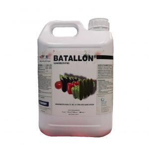 Batallon Ενεργοποιητής Εδάφους