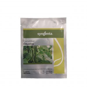 Αγγούρι Orkestra F1 φακ. 500 σπ.