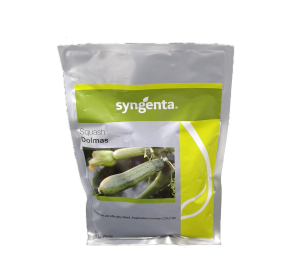 Κολοκύθι Dolmas F1 φακ. 1000 σπ.