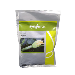 Κολοκύθι Ortano F1 φακ. 1000 σπ.