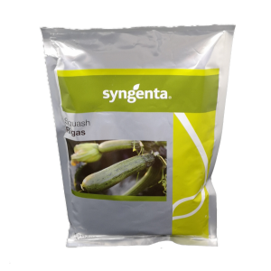 Κολοκύθι Rigas F1 φακ.1000 σπ.