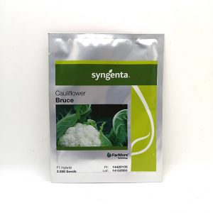 Κουνουπίδι Bruce F1 φακ. 2500 σπ.