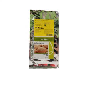 Κρεμμύδι Μεγάλης Ημέρας Banko F1 250.000 σπ.