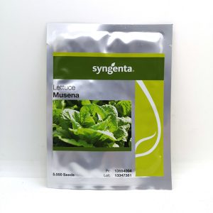 ΜΑΡΟΥΛΙ MUSENA φακ. 5.000 σπ.