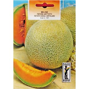 ΠΕΠΟΝΙ ΔΙΚΤΥΩΤΟ