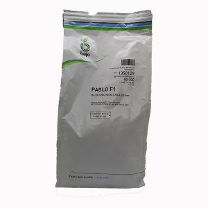 Παντζάρι Pablo F1