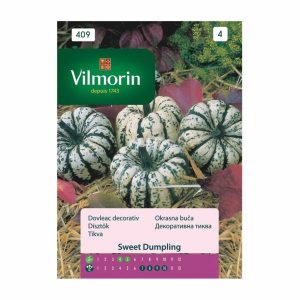 Κολοκύθα Διακοσμητική Sweet Dumpling