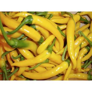 Πιπεριά Τσίλι Κίτρινη Kristian φακ. 100 σπ.