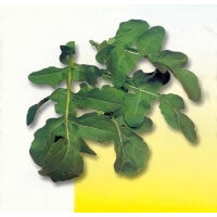 ΡΟΚΑ ΝΤΟΠΙΑ 1kg