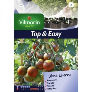 Τομάτα Black Cherry