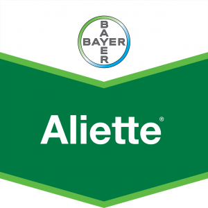 ALIETTE 80 WG 100gr