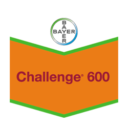 CHALLENGE 600 SC 1lt