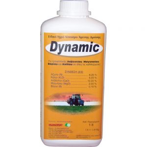 DYNAMIC ΛΙΠΑΣΜΑ ΑΣΒΕΣΤΙΟΥ 1lt