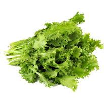 Αντίδι Όρθιο Κατσαρό Cristina 1kg