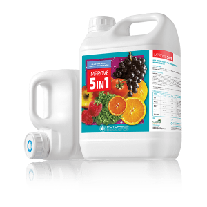 IMPROVE ΔΙΟΡΘΩΤΗΣ PH ΝΕΡΟΥ 1lt
