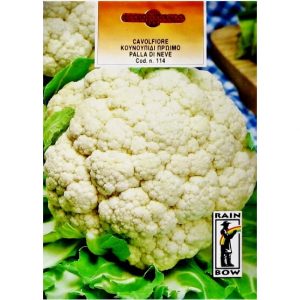 ΚΟΥΝΟΥΠΙΔΙ