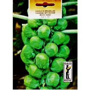 ΛΑΧΑΝΑΚΙ ΒΡΥΞΕΛΛΩΝ