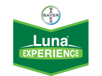 LUNA EXPERIENCE SC