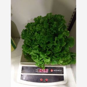 ΜΑΡΟΥΛΙ MARINA φακ. 10gr