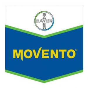 MOVENTO 150 OD