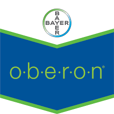 OBERON 240SC 120ml