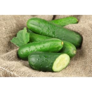 ΑΓΓΟΥΡΙ ΓΙΑ ΤΟΥΡΣΙ ODYS F1 50gr