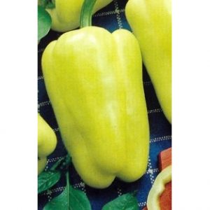 ΠΙΠΕΡΙΑ Π-14 φακ. 50gr