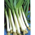 ΠΡΑΣΟ ΚΑΛΑΜΟΠΡΑΣΟ 500gr