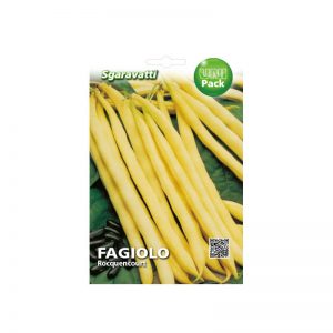 ΦΑΣΟΛΙ ΚΑΘΙΣΤΟ ROCQUENCOURT