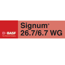 Signum 26.7/6.7 WG