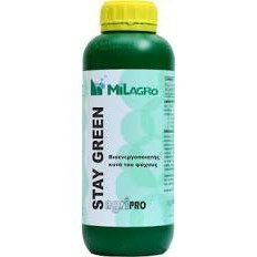 Stay Green Ειδικό Λίπασμα Ιχνοστοιχείων 1lt